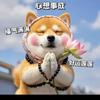 露露萌宠A13818696039