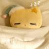 晚上不许吃宵夜