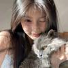 ‧₊猪肉泡菜汤★ ı