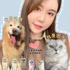 团子妈妈爱养猫🐱🐶
