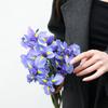 花奈儿花艺课堂