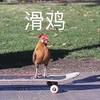 阿豪玩数码