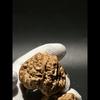 大张文玩福利号1
