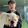 大增增（专注中华田园犬）