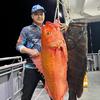 客都海钓刺身拼盘