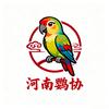 河南鹦协
