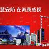笛丝