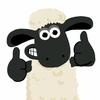 三国杀-小羊🐑