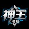 神王电竞（三角洲行动）