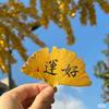 表妹