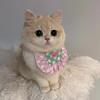 小芊爱养猫