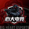 心大电竞（缺pc高玩）