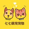 武汉的七七萌宠宠物店