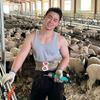 长治剪羊毛