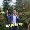 闫老师劳恩格润园林（河南）有限公司