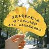 逸享食光