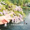 济南猫猫爱电脑
