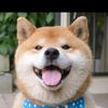 专一。