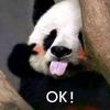 好运泽拉Zelaaa