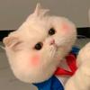 大脸猫手抄报