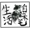 生活自来笔