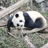 王老师讲数学