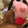 踩一群蚁