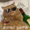 大中原一面