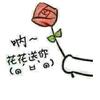 秭归脐橙源产地一件代发九月红 伦晚 长红