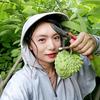 弥香源🍃四季云南