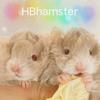 HBhamster