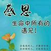 心似莲花V