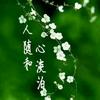 我愿赌，不赌输