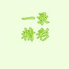 一录精彩