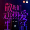 光影智控