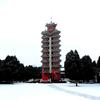 🥰墨泉（85年村支书）