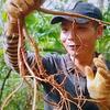 荣哥山货土特产