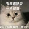 单身汪先生
