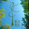 鲲卓Dance