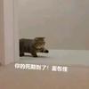每日推书