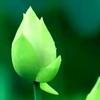 众雅教育~韩老师