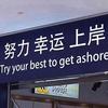灯塔李老师