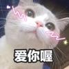 爱机饰界