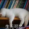 苏一