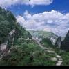 杨永全