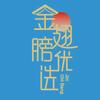 金翅膀优选