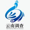 云南调查
