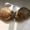白浪工作室教育