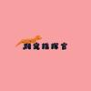 爬宠指挥官