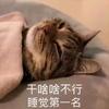 逐万觉一